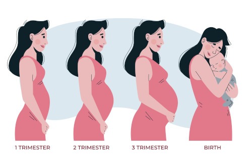 Obstetrics and Maternity Care